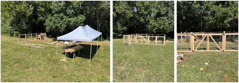 DIY dog pen construction with a tent, wooden frames, and a doghouse in a grassy area.